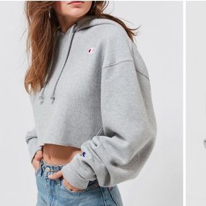 UO Champion Reverse Weave Cropped Hoodie Sweatshirt, Size Small